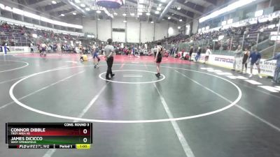 116 lbs Cons. Round 3 - James Dicicco, West Springfield vs Connor Dibble, Troy Area Hs