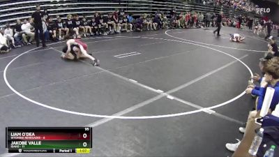 95 lbs Semis & 1st Wrestleback (8 Team) - JaKobe Valle, Idaho vs Liam O`Dea, Wyoming Renegades