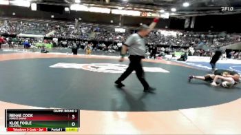 132 lbs Champ. Round 3 - Renae Cook, Forest Grove vs Kloe Fogle, Caldwell