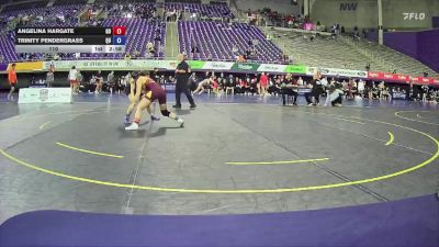 110 lbs Semis (4 Team) - Angelina Hargate, Gannon University vs Trinity Pendergrass, Quincy
