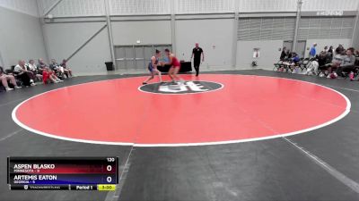 120 lbs Round 1 (4 Team) - Aspen Blasko, Minnesota vs Artemis Eaton, Georgia