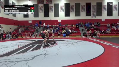 113 lbs Cons. Semi - Brandon Stein, Clarion-Goldfield-Dows vs Reid Hendrikson, Garner-Hayfield/Ventura