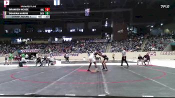 190 lbs Champ. Round 1 - DeAsian Harris, Christian County vs Branden Mcgee, Ashland Blazer