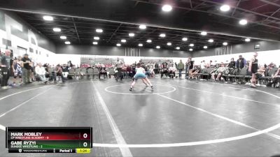 95 lbs Round 3 (8 Team) - Mark Mobley, CP Wrestling Academy vs Gabe Ryzyi, Dundee Wrestling