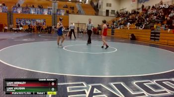 138 lbs Champ. Round 1 - Liam Hernley, McMinnville vs Liam Vaughn, Newberg