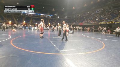 212 lbs Semifinal - Matej Belicic, Cumberland Valley vs Camryn White, Juniata Valley
