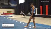 Vishal Mandava - Floor - 2021 USA Gymnastics Development Program National Championships