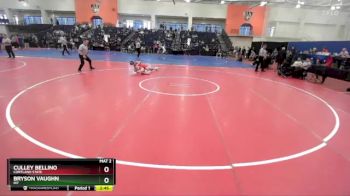 141 lbs 5th Place Match - Bryson Vaughn, RIT vs Culley Bellino, Cortland State