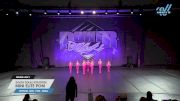 South Texas Strutters - Mini Elite Pom [2025 Mini - Pom - Small Day 1] 2025 Power Dance Grand Nationals