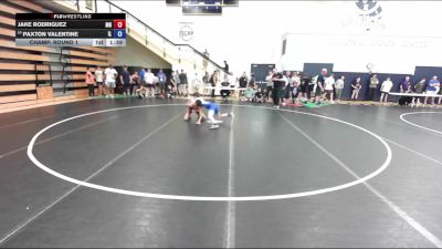 113 lbs Champ. Round 2 - Jake Rodriguez, MN vs Paxton Valentine, IL