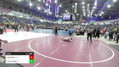 87 lbs Semifinal - David Salinas, Montrose Elite vs Dalton Schroeder, Top Notch WC