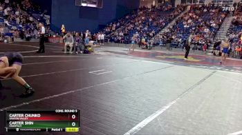 106 lbs Cons. Round 5 - Carter Shin, Chantilly vs Carter Chunko, Saucon Valley