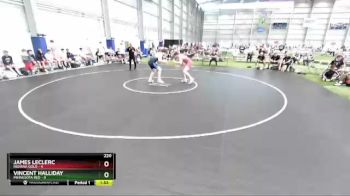 220 lbs Round 1 (8 Team) - James LeClerc, Indiana Gold vs Vincent Halliday, Minnesota Red