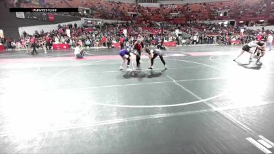 117 lbs Cons. Round 5 - Jaylyn Hartmann, Stoughton Vikings Wrestling Club vs Bristol Check, North Crawford Seneca