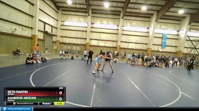 170 lbs Quarterfinal - Seth Martin, Idaho vs Kameron Arizumi, Hawaii