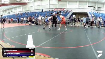 170 lbs Semifinal - Conner Owens, MI vs Anthony Cashman, IN