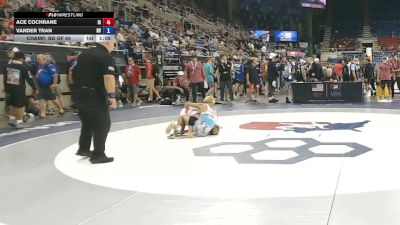 113 lbs Champ. Rd Of 64 - Ace Cochrane, Iowa vs Vander Tran, Nevada