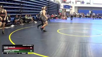 165 lbs Champ. Round 3 - Andrew Hartman, Dowagiac Union HS vs Gabe Garlick, LAKOTA