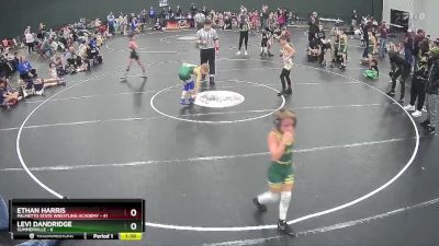 80 lbs Semis (4 Team) - Levi Dandridge, Summerville vs Ethan Harris, Palmetto State Wrestling Academy