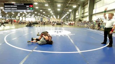 113 lbs Rr Rnd 3 - Rocco Decario, Micky's Maniacs White vs Vincent Grippa, Elite NJ Boys Black