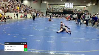 80 lbs Semifinal - Andrew Aldridge, Guerrilla Wrestling Academy vs Ben Martin, West Forsyth Wrestling Club