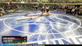 220 lbs Semis & 1st Wrestleback (8 Team) - Caden Wetherell, Waverly - Shell Rock vs Tyson Martin, LaCrosse Aquinas