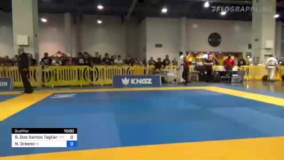 Renato Dos Santos Tagliari vs Nicholas Greene 2022 American National IBJJF Jiu-Jitsu Championship