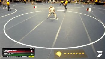 133 Championship Bracket Champ. Round 2 - Zach Olson, Farmington vs Cavin Carlson, Willmar