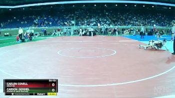 D2-113 lbs Cons. Round 2 - Caelen Covell, Holly HS vs Carson Gemmel, Huron HS (New Boston)