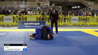 ANDREW BE vs DOMINIC ANTONIO ROSARIO 2023 Pan Jiu Jitsu IBJJF Championship