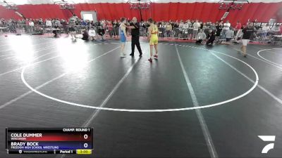138 lbs Champ. Round 1 - Cole Dummer, Wisconsin vs Brady Bock, Freedom High School Wrestling
