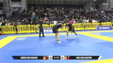 Erike Souza Martins vs Vinícius Góes Barbosa 2025 Pan IBJJF Jiu-Jitsu No-Gi Championship