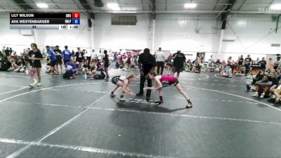 84 lbs Round 2 (4 Team) - Lily Wilson, Storm Wrestling Center vs Ava Westenbarger, R&R Ladies Purple