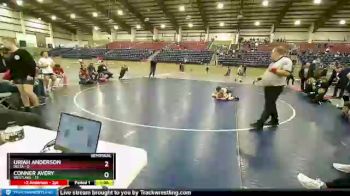 85 lbs Semis & Wb (16 Team) - Uriah Anderson, Delta vs Conner Avery, Westlake