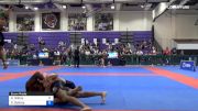 Andrew Wiltse vs Gregory Batista 2019 Pan IBJJF Jiu-Jitsu No-Gi Championship