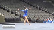 Allison Kaempfer American Twisters - Floor