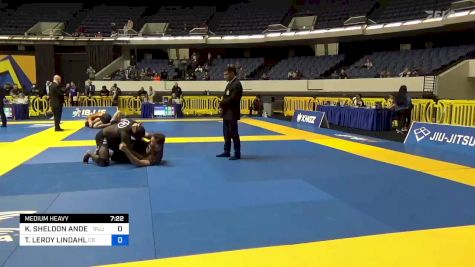 KEMOY SHELDON ANDERSON vs TRAVIS LEROY LINDAHL 2022 World IBJJF Jiu-Jitsu No-Gi Championship