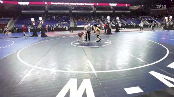 126 lbs Quarterfinal - Kamila Vizcinesk, Arlington vs Madison Skog, Hampden Charter East