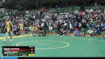 144 lbs Quarterfinal - Brodie Dominique, ARCHBOLD vs Addison Trisket, Madison (Madison)