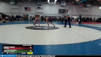 125 lbs Champ. Round 1 - Derek Steele, Augsburg vs Justin Mitchell, Wisconsin-Oshkosh