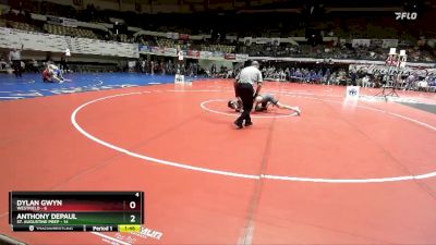 138 lbs Placement (16 Team) - Anthony Depaul, St. Augustine Prep vs Dylan Gwyn, Westfield