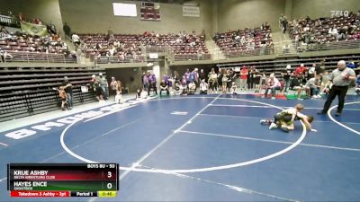 50 lbs Quarterfinal - Krue Ashby, Delta Wrestling Club vs Hayes Ence, Shootbox