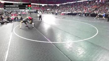 D3-215 lbs Champ. Round 1 - Jack Steinmeyer, Spring Valley/Elmwood vs Sawyer Swiggum, North Crawford/Seneca
