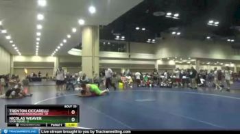 285 lbs Round 5 (10 Team) - Trenton Ciccarelli, Austintown Fitch Falcons vs Nicolas Weaver, Goon Squad