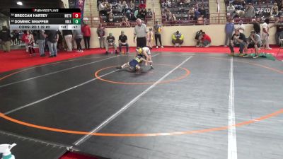 60_B lbs Consi Rd 1 32 #2 - Breccan Hartey, Methacton vs Dominic Shaffer, Hollidaysburg