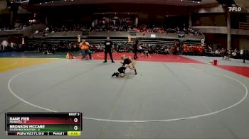 50 lbs Quarterfinals (8 Team) - Dane Fier, Minneota vs Bronson McCabe, Caledonia/Houston