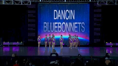 Dancin Bluebonnets [2018 Mini Contemporary/Lyrical] NDA All-Star National Championship