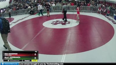 100 lbs Quarterfinal - Riley Esperanza, SLAM! NEVADA vs Ava Goodman, Arbor View