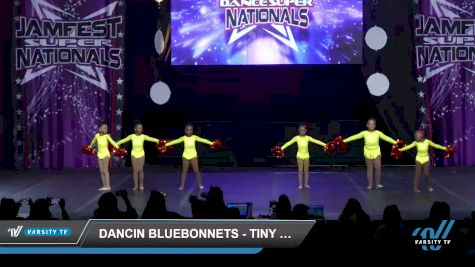 Dancin Bluebonnets - Tiny Elite Pom [2022 Tiny - Pom Day 3] 2022 JAMfest Dance Super Nationals