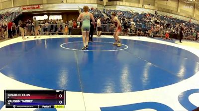 138 lbs Champ. Round 2 - Bradlee Ellis, IL vs Vaughn Tarbet, MI